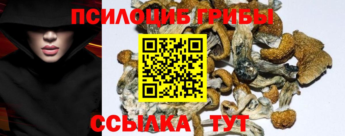 Орехово-Зуево  Псилоцибиновые грибы мухоморы  Галлюциногенные грибы Psilocybe  Вход с VPN 