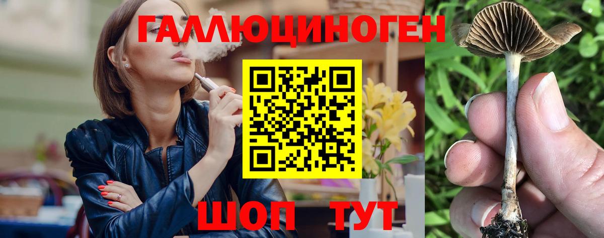 Галлюциногенные грибы Cubensis Орехово-Зуево